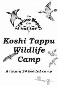 Download our latest brochure in PDF | Koshi Tappu Wildlife Camp