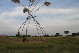 Koshi Tappu Wildlife Camp