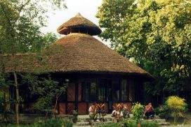 Koshi Tappu Wildlife Camp