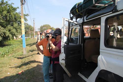 jeep-safari-koshi-tappu-wildlife-camp-nepal