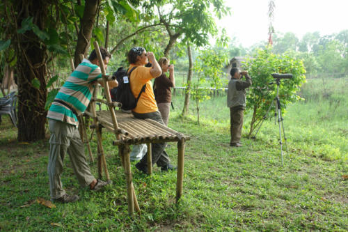 Tourists watching birds with the expert guides at Koshi Tappu Wildlife Camp