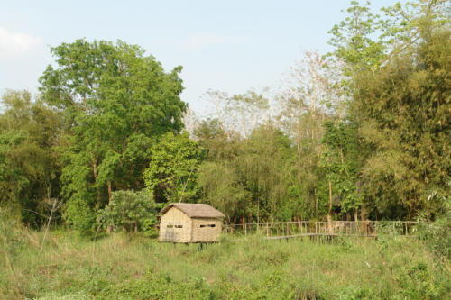 Tourists watching birds with the expert guides at Koshi Tappu Wildlife Camp