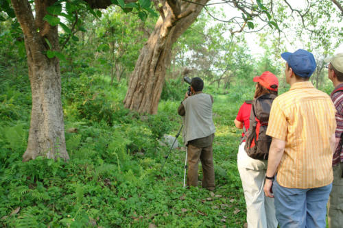 Tourists watching birds with the expert guides at Koshi Tappu Wildlife Camp