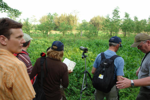 Tourists watching birds with the expert guides at Koshi Tappu Wildlife Camp