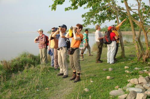 Tourists watching birds with the expert guides at Koshi Tappu Wildlife Camp