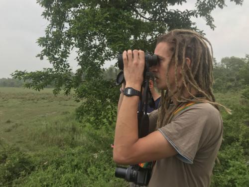 Birds sighted in Koshi Tappu Wildlife Reserve | Koshi Tappu Wildlife Camp - Nepal