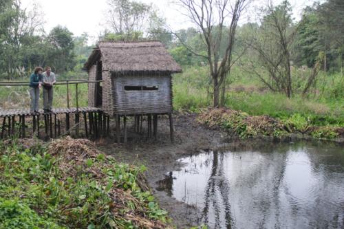 Birds sighted in Koshi Tappu Wildlife Reserve | Koshi Tappu Wildlife Camp - Nepal