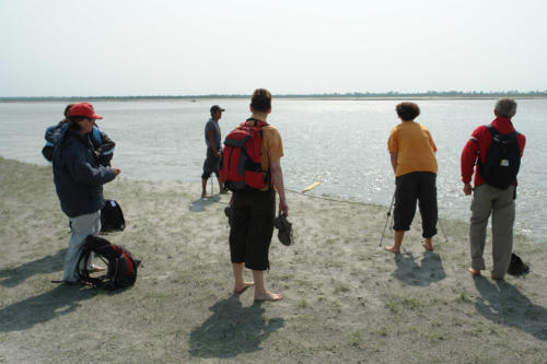 Gentle wildlife rafting with the experts at Koshi Tappu Wildlife Camp