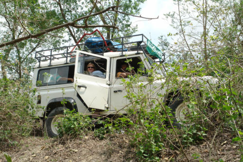 Jeep safari with the expert guides at Koshi Tappu Wildlife Camp