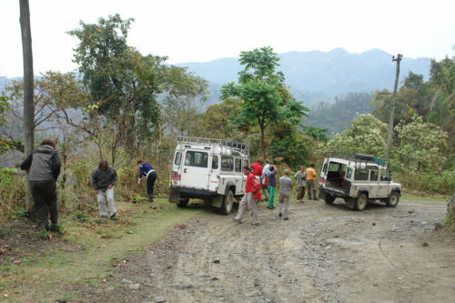 Jeep safari with the expert guides at Koshi Tappu Wildlife Camp