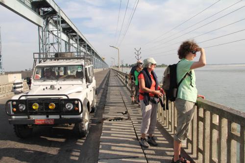 Jeep safari with the expert guides at Koshi Tappu Wildlife Camp