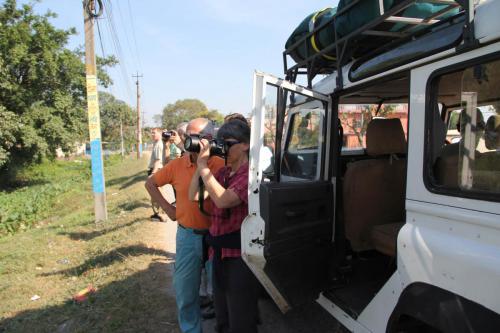 Jeep safari with the expert guides at Koshi Tappu Wildlife Camp