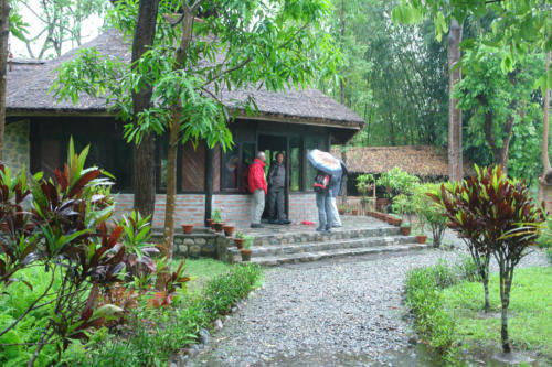 Koshi Tappu Wildlife Camp Premises