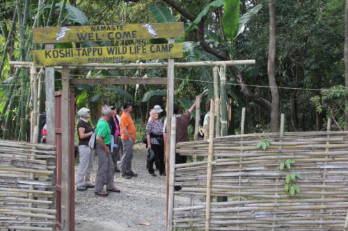 Koshi Tappu Wildlife Camp Premises