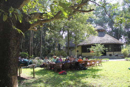 Koshi Tappu Wildlife Camp Premises