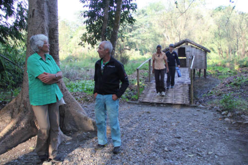 Koshi Tappu Wildlife Camp Premises