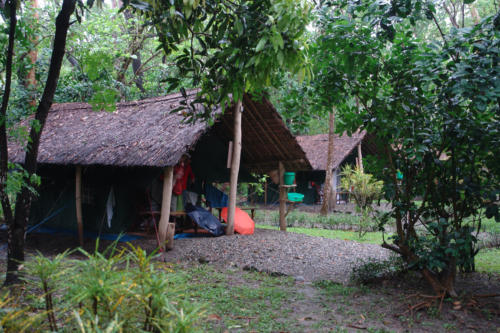 Koshi Tappu Wildlife Camp Premises