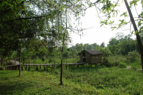 Koshi Tappu Wildlife Camp Premises