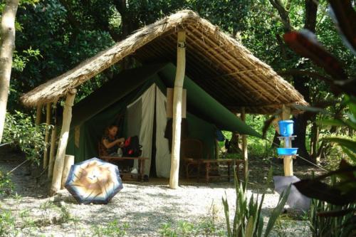 Koshi Tappu Wildlife Camp Premises