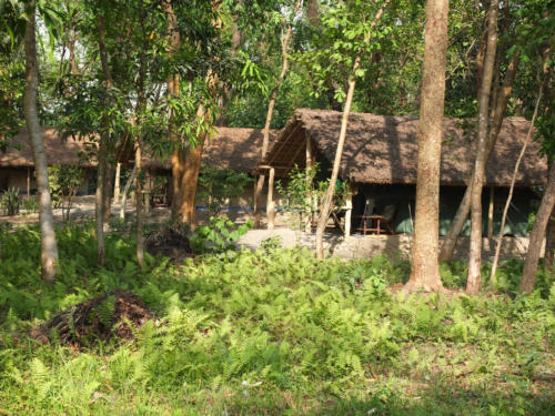 Koshi Tappu Wildlife Camp Premises