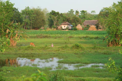 Village walk with the expert guides at Koshi Tappu Wildlife Camp