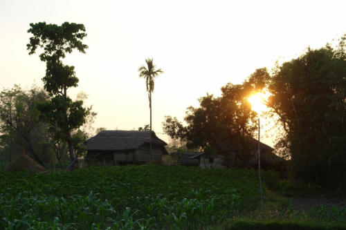 Village walk with the expert guides at Koshi Tappu Wildlife Camp