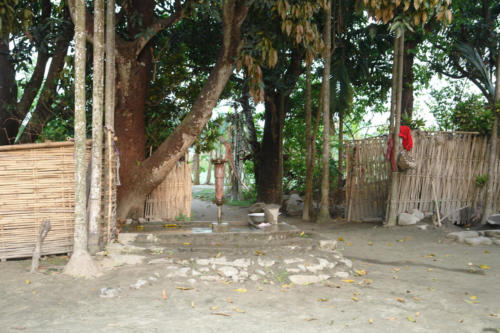 Village walk with the expert guides at Koshi Tappu Wildlife Camp