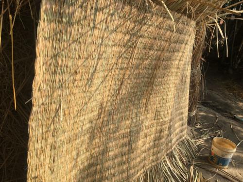 village-walk-koshi-tappu-wildlife-camp-nepal-photo 16