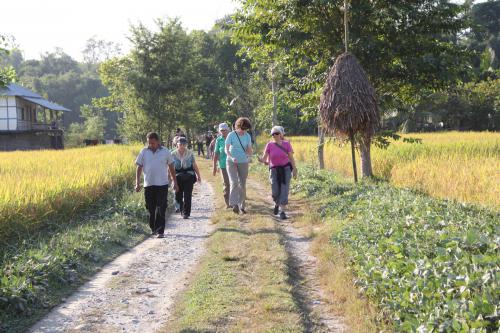 Village walk with the expert guides at Koshi Tappu Wildlife Camp