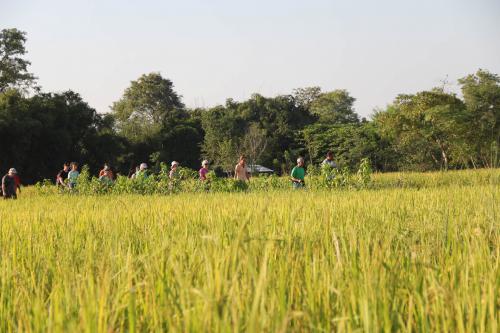 Village walk with the expert guides at Koshi Tappu Wildlife Camp